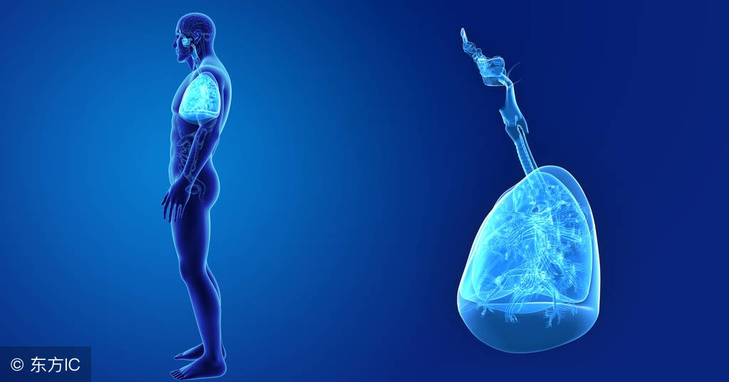 厨房油烟对肺癌有多大影响,长期吸入油烟对肺有什么危害