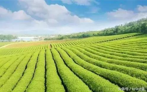 乡村生态旅游的发展策略,乡村旅游资源的开发经营