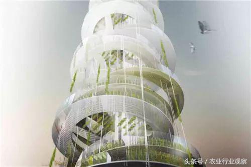 垂直农场与垂直农业 (国外垂直农场现状)