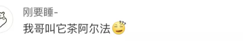 那些一时口误闹出的笑话是什么,那些因为口误闹出的笑话运动员