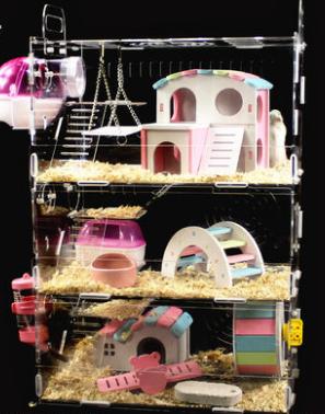 仓鼠虚弱无力被咬了怎么救,如何防止仓鼠咬笼子的方法