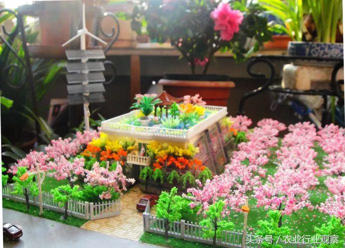 垂直农场与垂直农业 (国外垂直农场现状)