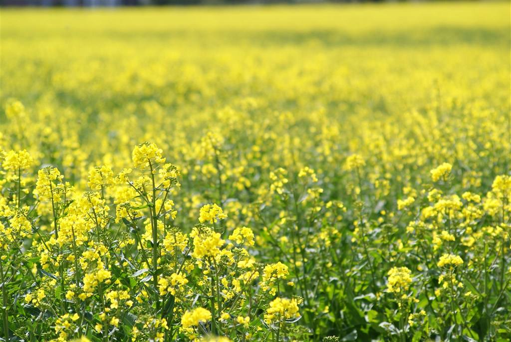 闲时遐想，谨以此文共勉！