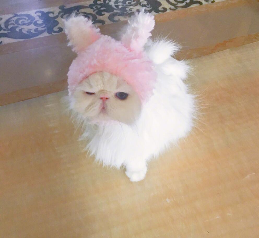 范冰冰微博七条评论,范冰冰一条微博引发的骂战