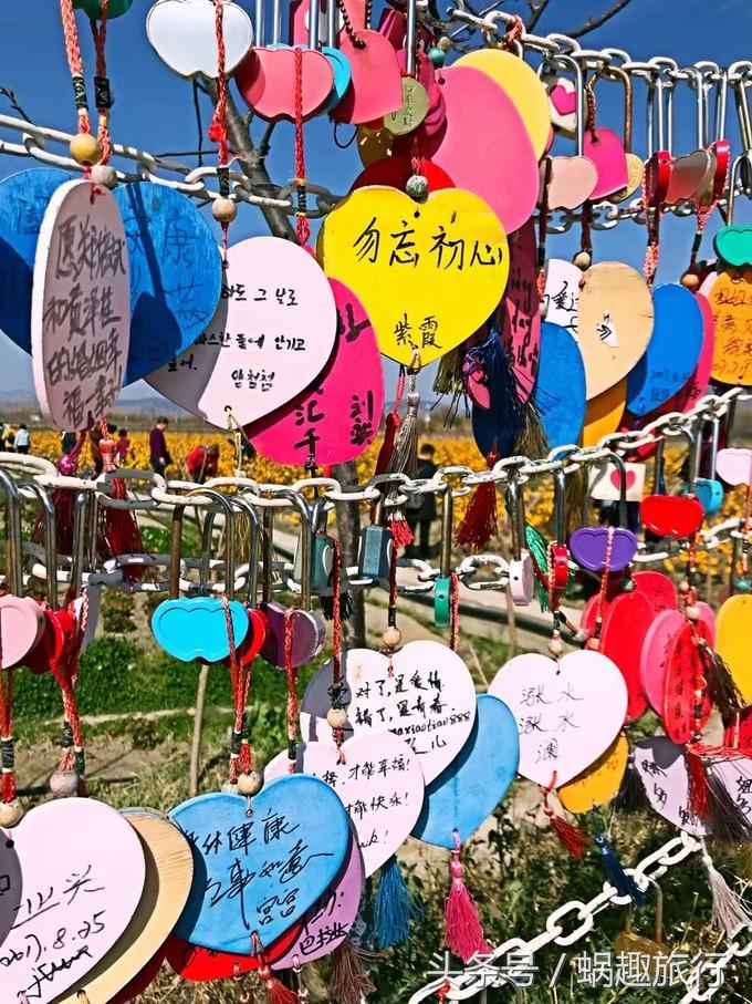 大理回族干货,二月份洱海值得去吗