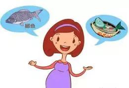 吃鱼好，吃好鱼，那么要怎样挑选呢？今天郭医生就带你来挑选好鱼