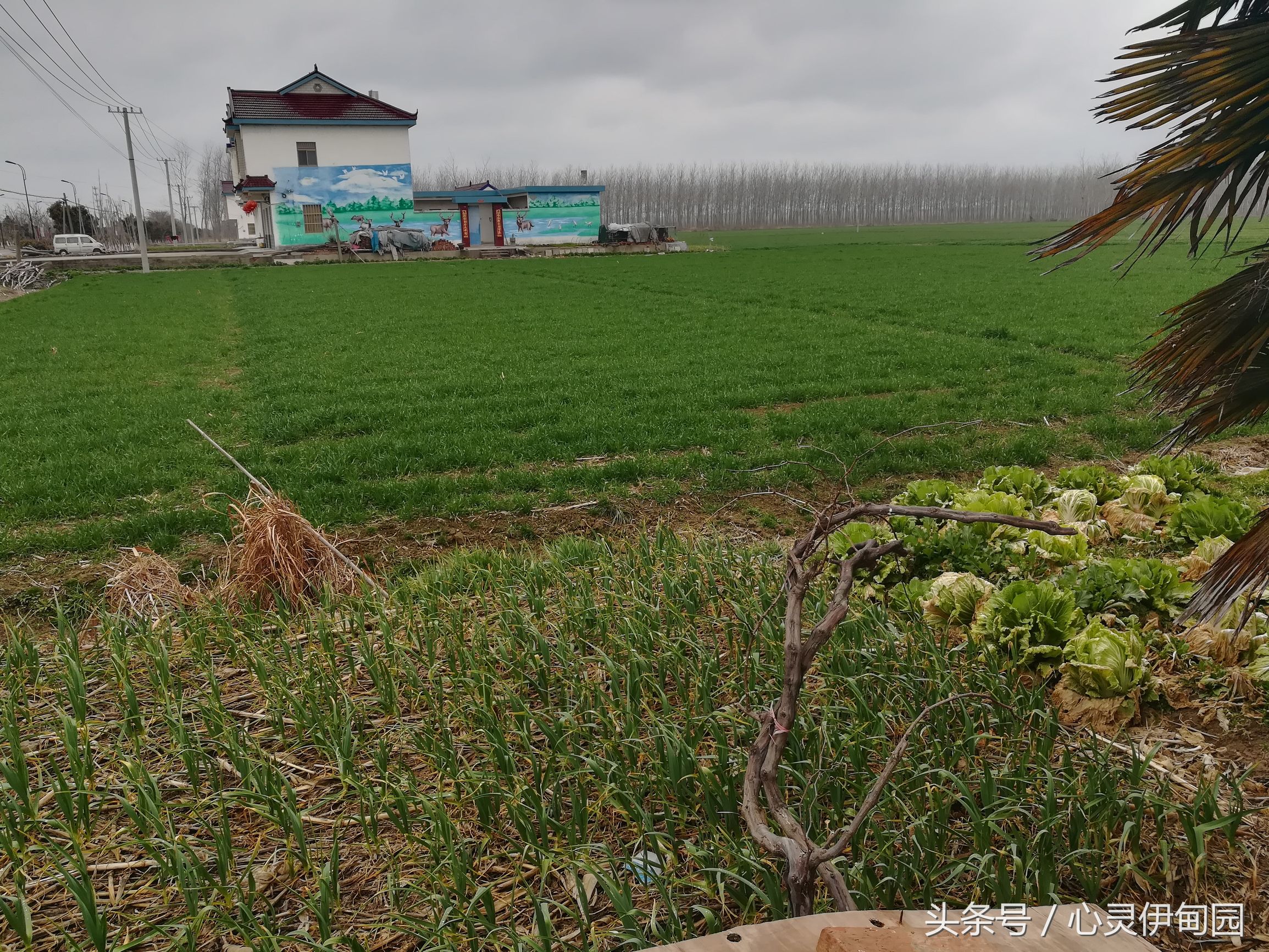 中华麋鹿园,中华麋鹿基地