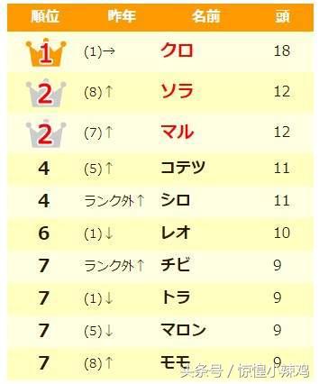 2019宠物猫名字,宠物猫有哪些好听的名字