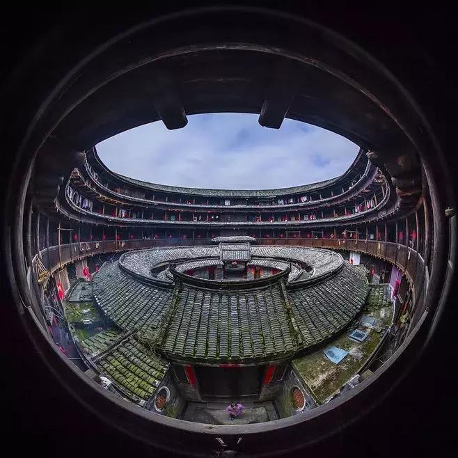 法国归来的插画师也难逃这片山林“诱惑”，夏天还想来看萤火虫