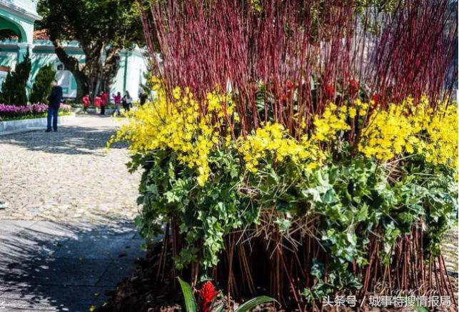 这是我见过最详细的旅游攻略,澳门必须去的旅游景点推荐