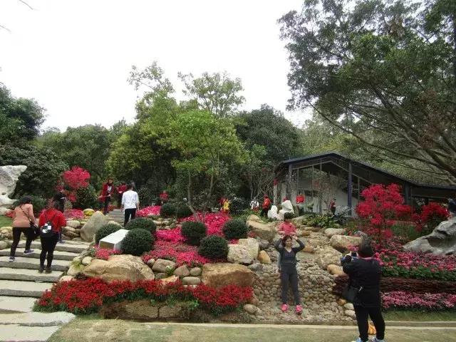 还没看的景点,大夫山最美景色