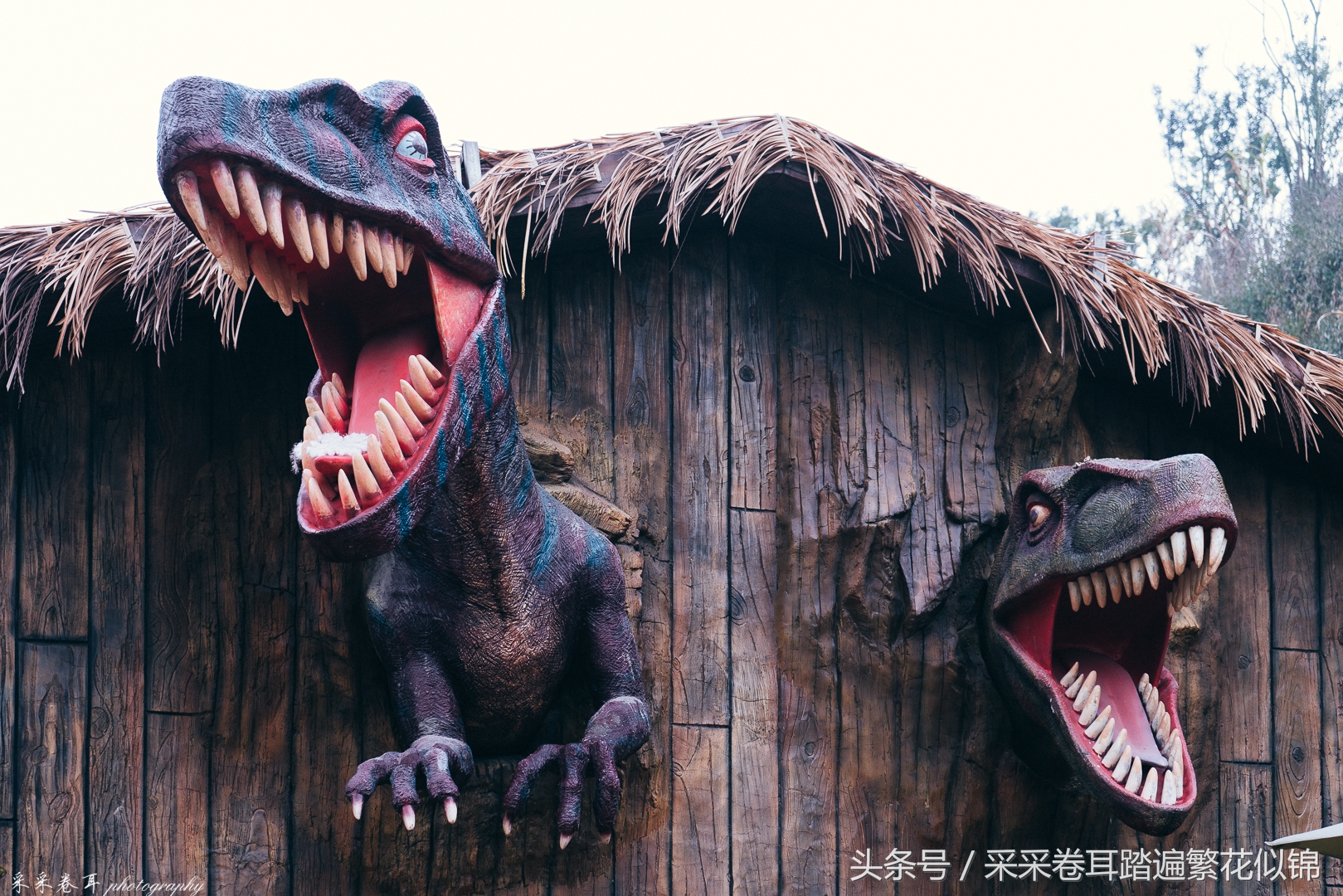 重庆2021欢乐谷狂欢夜,重庆欢乐谷新春巡游