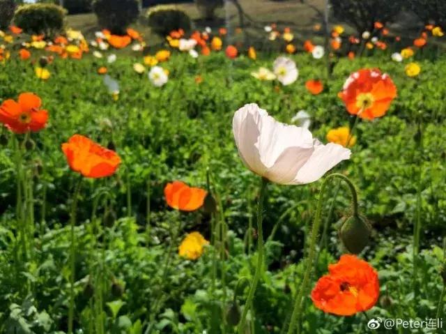 厦门大降温最新消息,厦门升温时间表