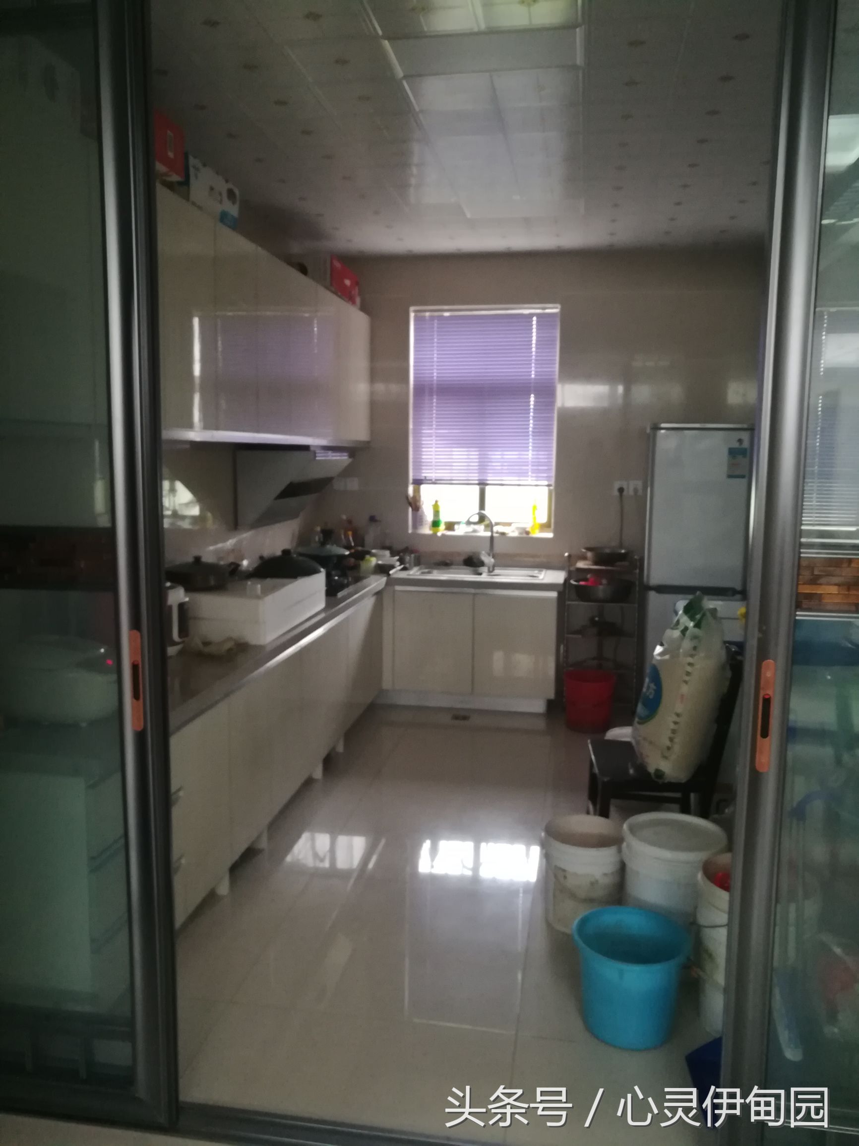 中华麋鹿园,中华麋鹿基地