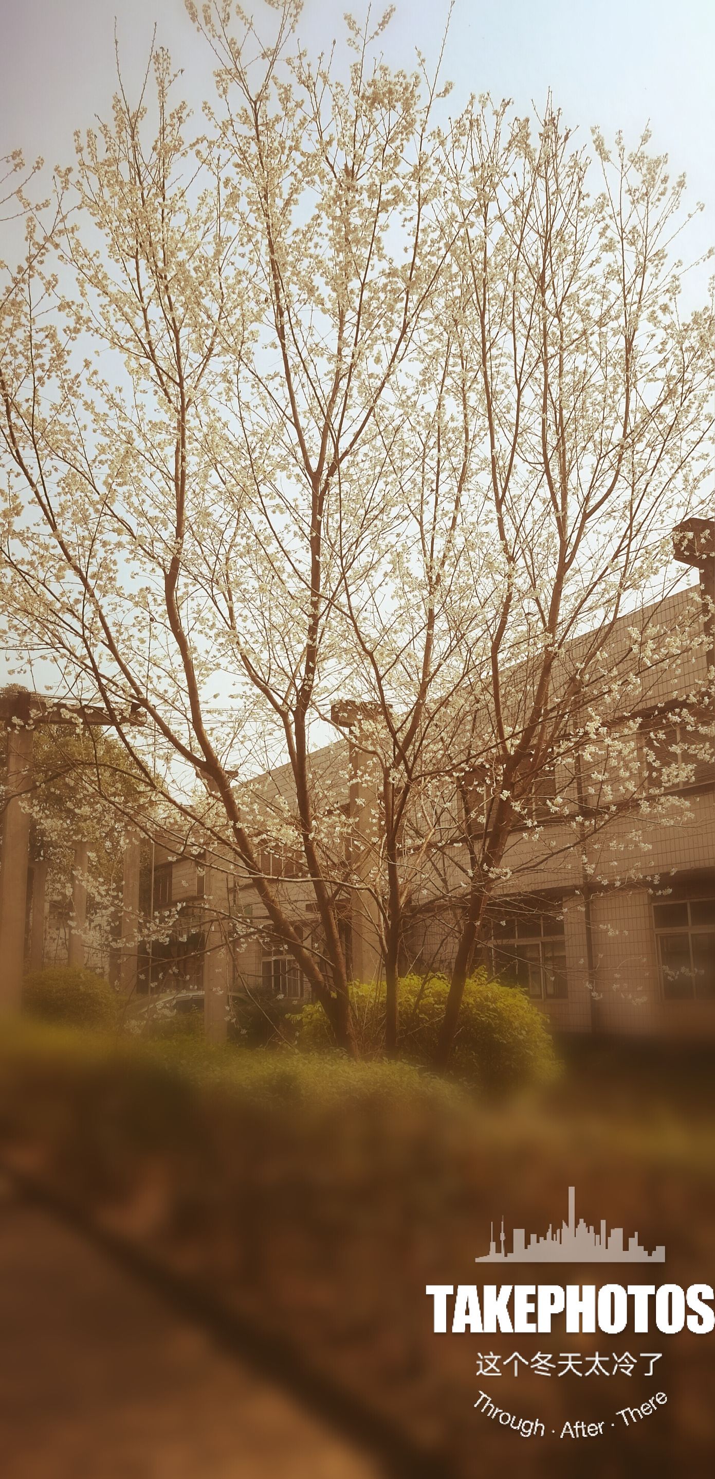 小时候玩过的摔角折纸,小时候玩过的哪些折纸东西