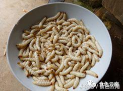 云南三只蚂蚁一道菜,云南三个蚊子一盘菜