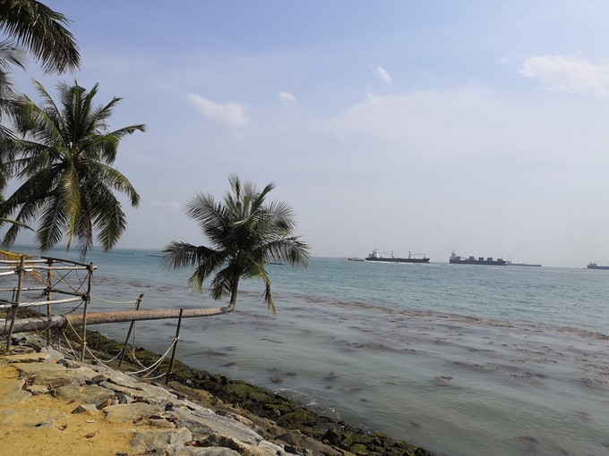 春节新加坡6天5晚亲子游,新加坡亲子游2017