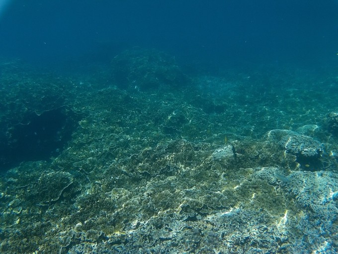 蜜月短途旅行,蜜月旅行遇见朋友闺蜜