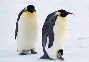 那些你会说不会写的粤语字,史上最全粤语会说不会写