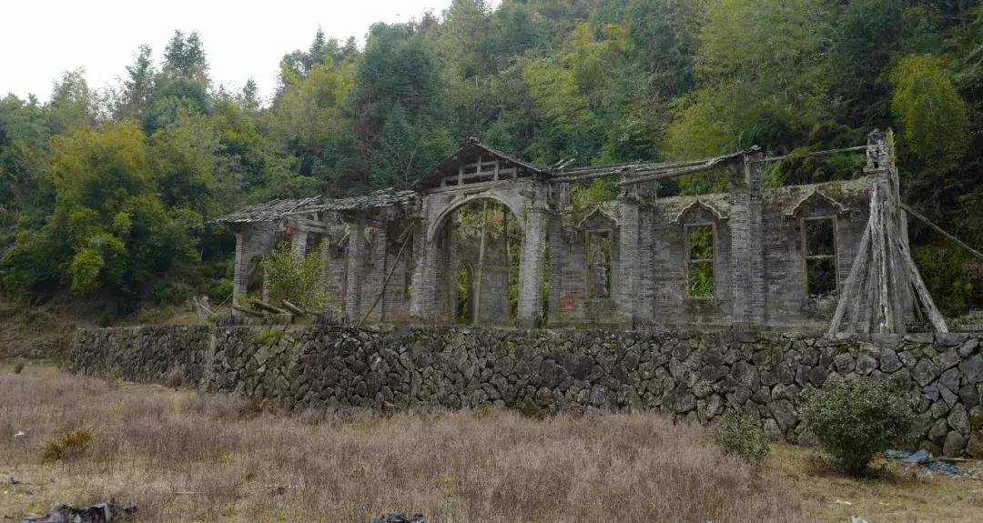 法国归来的插画师也难逃这片山林“诱惑”，夏天还想来看萤火虫