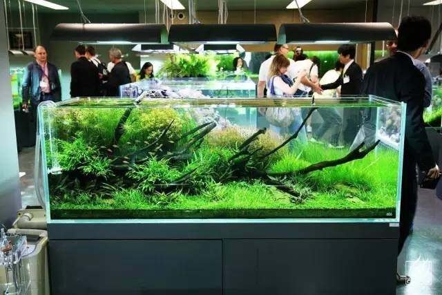 鱼缸过滤器清洗周期多久一次,鱼缸过滤器的清洗方法