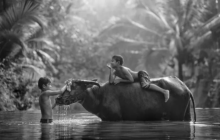 2018年全球华人摄影十杰,中国第18届国际摄影展入围作品