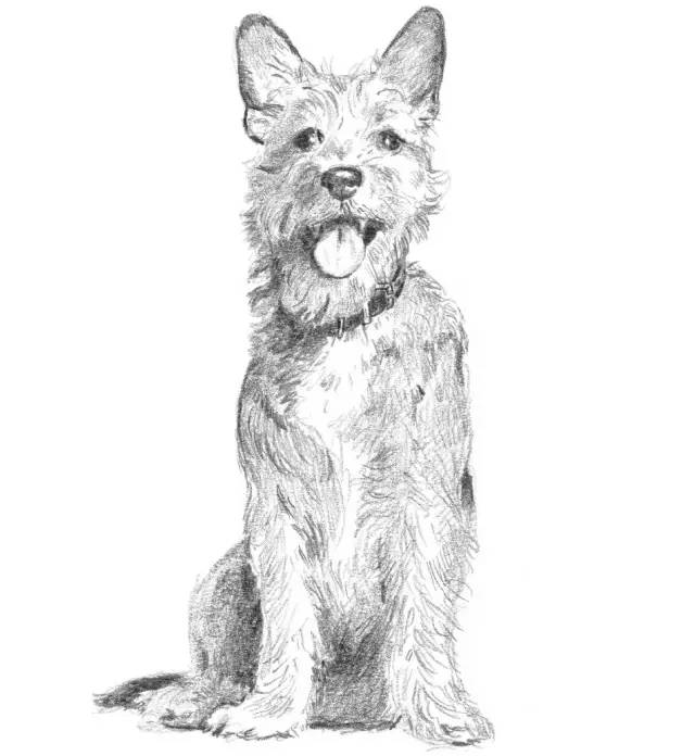 素描入门零基础教程动漫人物,素描入门零基础教程排线握笔