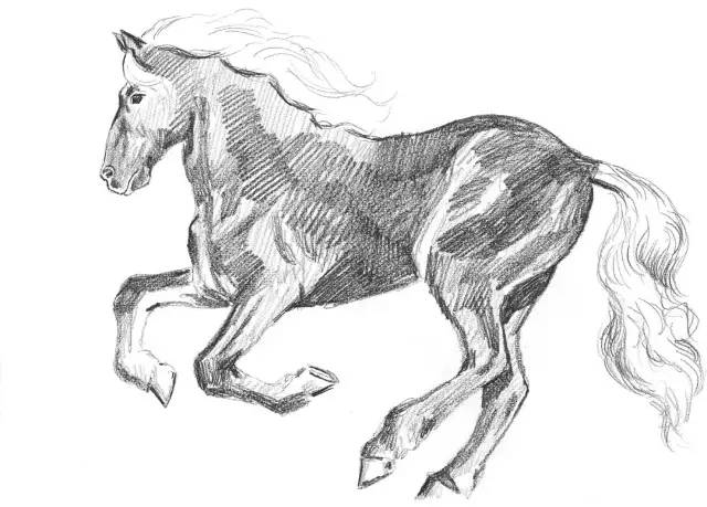 国画素描教程零基础入门,零基础学素描初学者入门教学