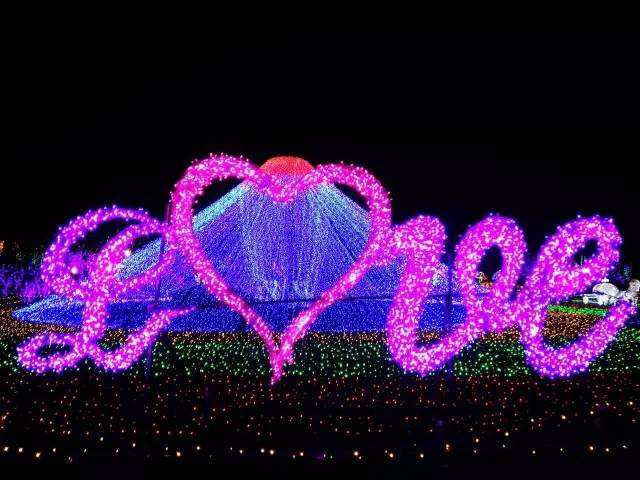 歌曲贝多芬的忧伤,贝多芬的悲伤原唱女声完整版