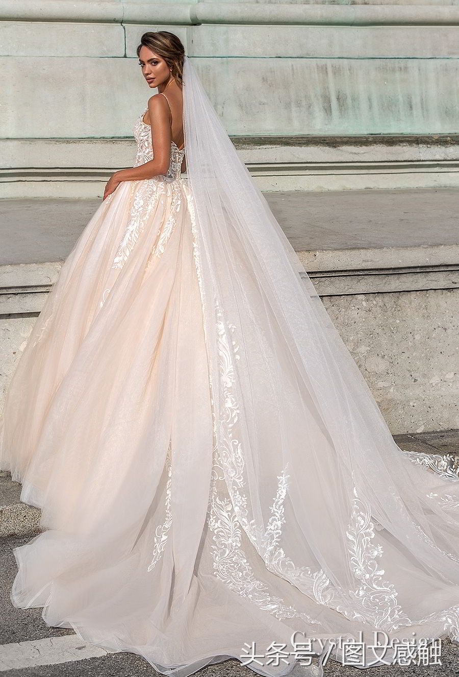 白银婚纱礼服设计,玫瑰婚纱礼服设计