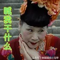 香奈儿淘宝上买的是真的吗,15元香奈儿