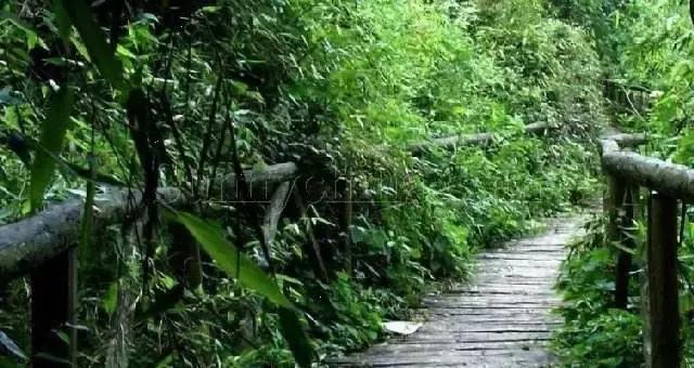 北京各区16处免费森林公园,北京最新40个公园