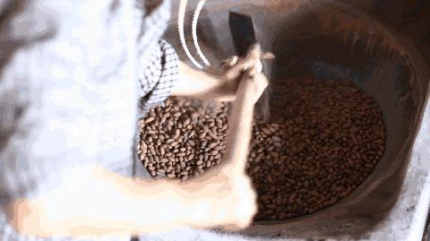 西施最爱的零食，恐龙时代已经存在，找遍整个中国才找到