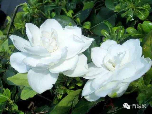 相约南溪古城夜景,相约南溪