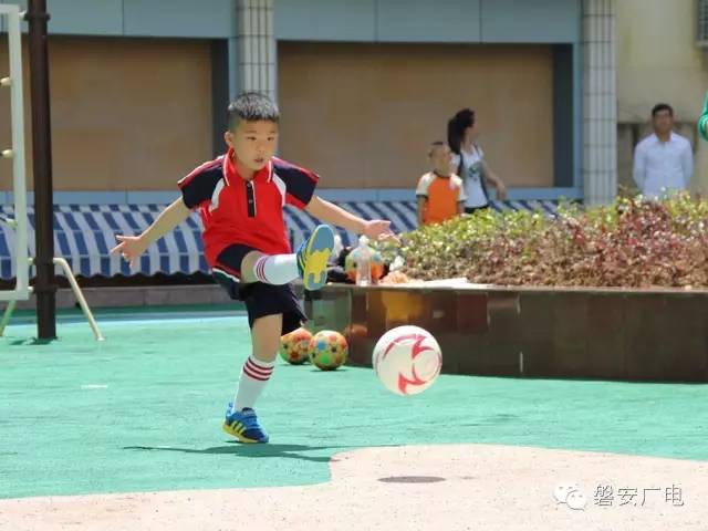 厉害!听说未来国足要靠磐安的这群娃娃了!