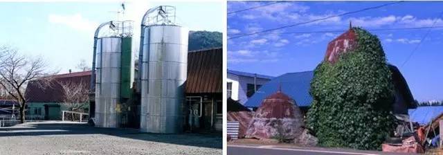 brutus日本杂志,brutus是什么杂志