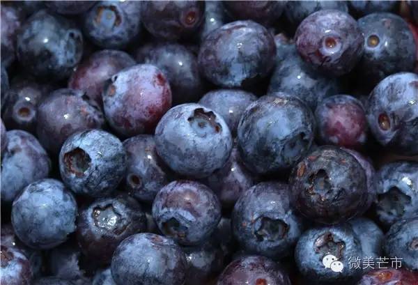 来芒市撒野‖咂蓝莓啖杨梅“二Mei”齐登场