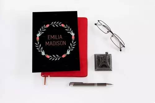 一分钟制作原创标志，高级logo模板素材包