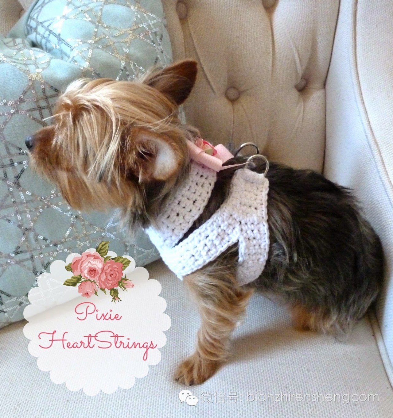 钩针钩狗狗怎么钩,大狗狗钩针教程