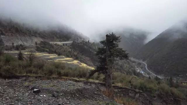 八天川藏最好纪录,川藏挑战8天距离