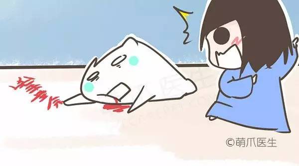 怕狗狗死了怎么办,狗狗突然大叫抽搐怎么急救