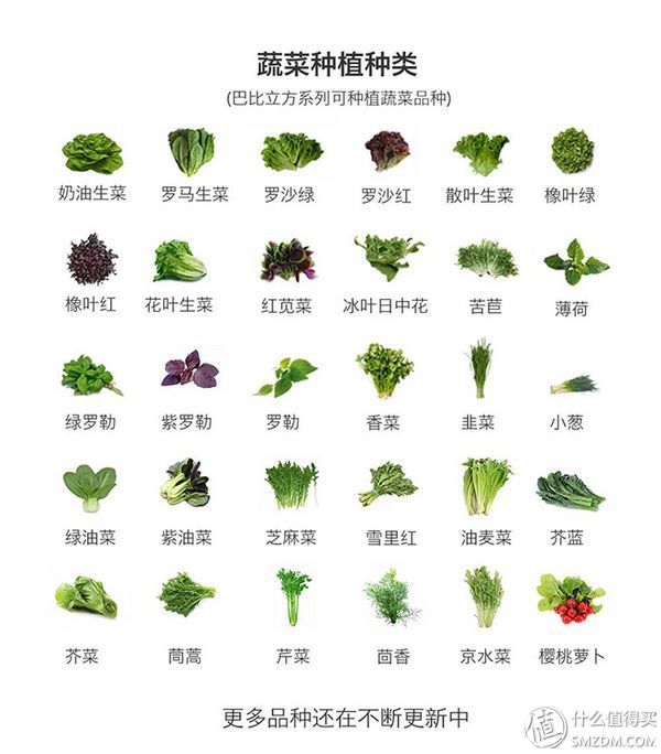 我的秘密菜园,我的秘密小菜地