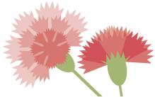 Summer，你与“香妃”其实只差一瓶淡香水。