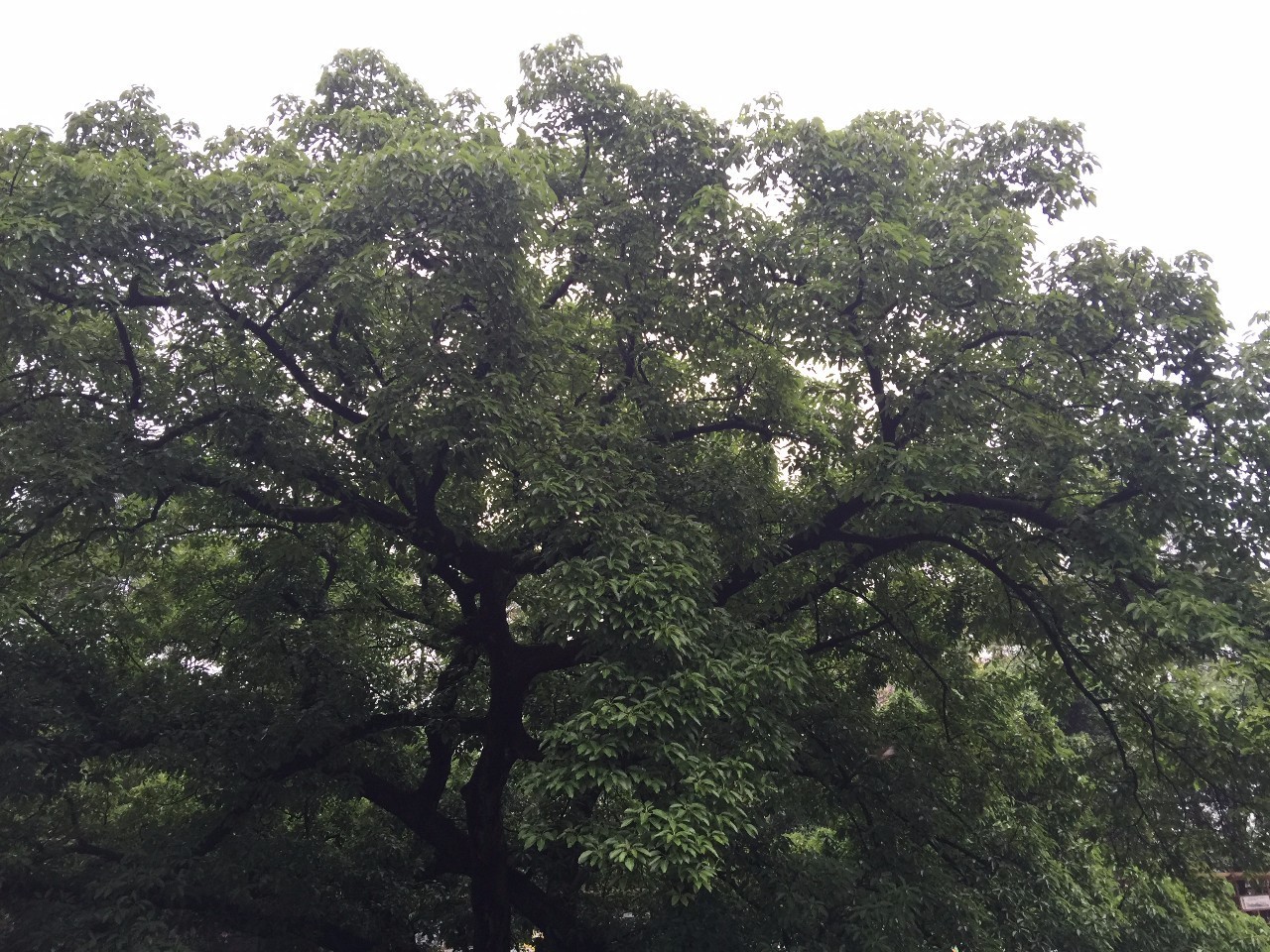 “少谈成绩多谈爱”,宜宾这所学校怎么啦?