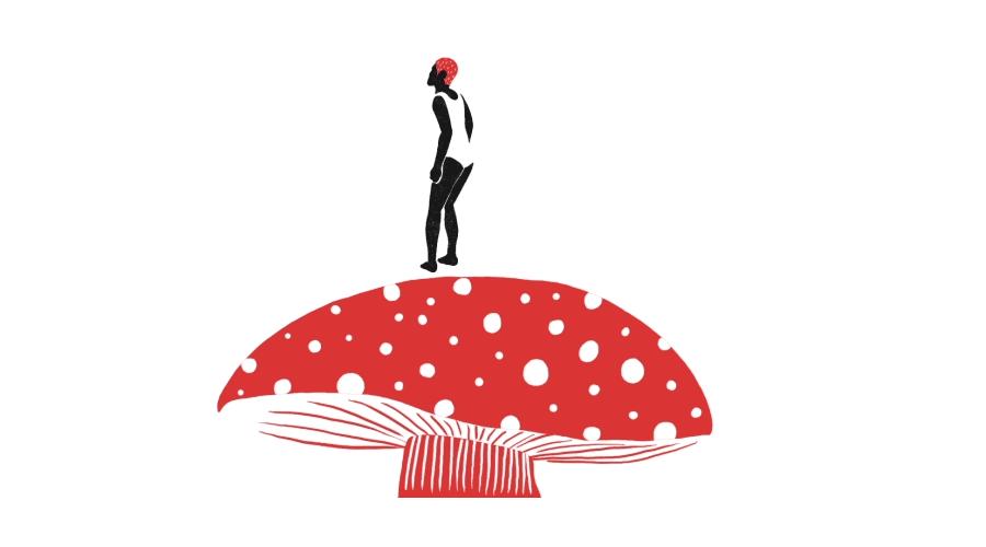 如果感到抑郁你就磕个菇！