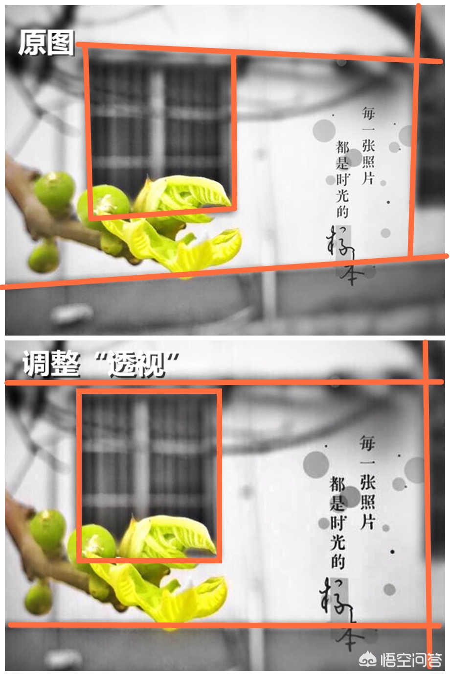 照片墙面p歪怎么修复,手机图片校正画面倾斜怎么办