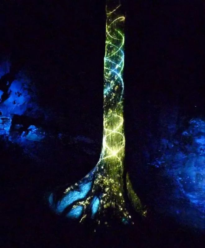 加拿大奇幻森林,加拿大魔法森林风景