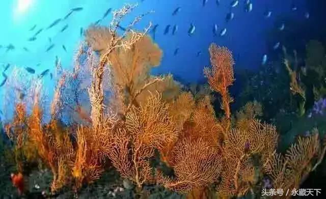 娴锋磱婊嬪吇,娴锋煶鍜岀牀纾插摢涓ソ