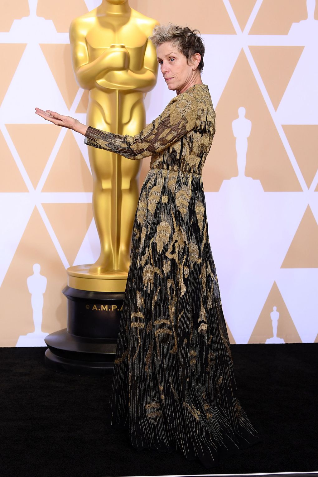 2018奥斯卡典礼,2018奥斯卡红毯