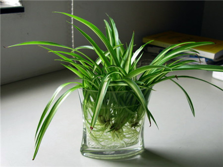 姘村煿鍗峰彾鍚婂叞,閲戦奔鍚婂叞姘村煿